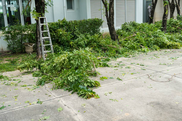 Best Tree Trimming and Pruning  in Oglala, SD